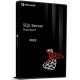 SQL Server 2022 Standard + 10 User CALs ESD