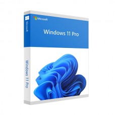 Windows 11 Pro